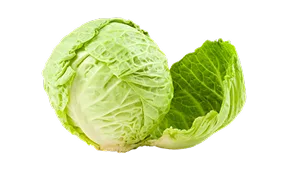 热门直播 - 柠檬直播